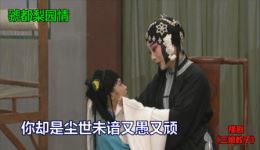 豫剧名家史茹《三娘教子》经典唱段《老薛保你快请起》高清戏曲资源下载下载