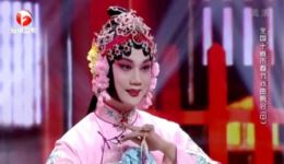 对绣鞋