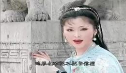 黄梅戏《桃花扇·阵阵寒风透罗绡》吴亚玲经典演唱片段下载下载