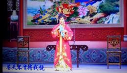 亲娘后妈