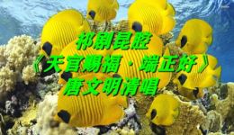 天官赐福 端正好