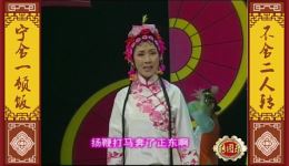 正宗二人转《王二姐思夫》闫淑平深情演绎，东北地方戏经典佳作在线下载