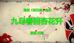 桃花庵