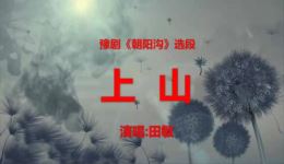 豫剧《朝阳沟》之《上山》田敏演唱经典片段下载 豫剧《朝阳沟》之《上山》田敏演唱经典片段下载