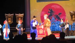 河北梆子《卧虎令》精彩唱段在线观看｜经典剧目高清呈现下载