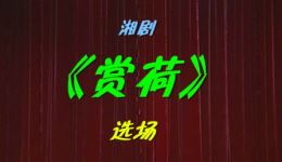湘剧高腔《琵琶记·赏荷》选场免费观看下载,经典戏曲片段在线畅享 湘剧高腔《琵琶记·赏荷》选场免费观看下载,经典戏曲片段在线畅享