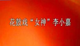 花鼓戏《女神》李小嘉主演，经典戏曲在线下载下载