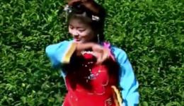 江西客家采茶戏《满山茶女笑连天》下载，正宗赣南采茶戏资源，体验客家民俗风情