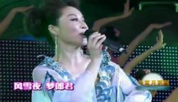 赵媛媛董家林黄梅戏《孔雀东南飞》选段下载，经典演绎，韵味十足下载