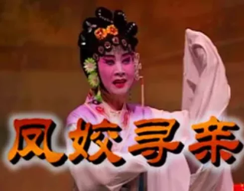 祁剧《凤姣寻亲》完整版下载 - 高清全场戏曲资源在线观看 祁剧《凤姣寻亲》完整版下载 - 高清全场戏曲资源在线观看