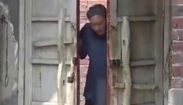 男女寡妇上坟