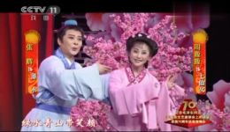 黄梅戏《天仙配》选段下载张辉周源源经典演绎，仙凡爱恋精彩呈现下载