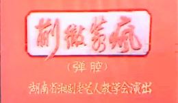 蒯彻装疯