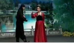二人转《徐家庄有一位徐老员外》王小飞小豆豆精彩演绎，乡村趣事全呈现下载