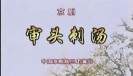 审头刺汤