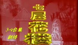 花鼓戏《七层花楼》剧终完整版下载，经典孝义下载