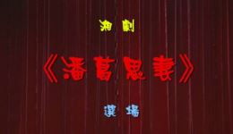 潘葛思妻