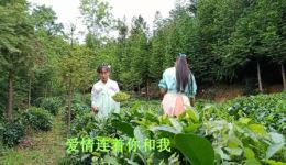 贵州山歌《莫让他人说闲言》民间小调对唱，唱出生活智慧与山歌韵味