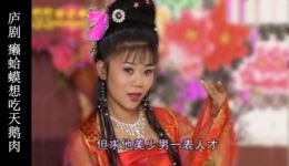 庐剧《癞蛤蟆想吃天鹅肉》全剧高清下载，单小侉、刘马林、夏小二主演，安徽地方戏资源下载