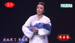 评剧《母亲》选段赏析白派传人王平深情演绎，感受母爱与家国情怀下载