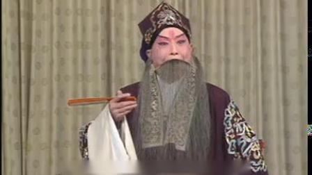 朱砂痣