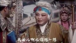 花枪缘·手拉着我的儿