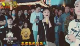 董明珠二人转《九儿》精彩片段下载，经典唱腔引爆全场掌声下载