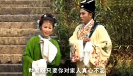 安徽庐剧《秦香莲》全集下载｜经典戏曲魏小波王小兰主演，高清资源速取下载