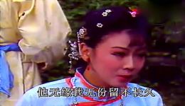 韩再芬经典黄梅戏《小辞店》选段，传统韵味十足，百听不厌的戏曲盛宴下载