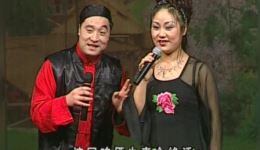 刘老根二柱子大胖夫妻档表演，二人转片段看点十足，真实夫妻演绎别样精彩下载
