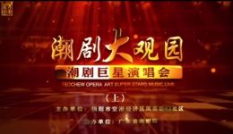 2019魅力塘埔潮剧巨星演唱会（上）高清全场名角齐聚，潮剧经典大放送下载