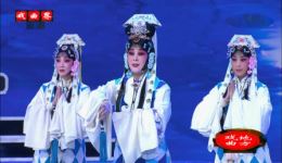 秦腔《数罗汉》选段在线观看与下载 - 李淑芳、罗兰精彩演绎下载
