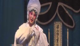 双蝴蝶