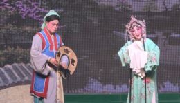 秦腔经典《园会》在线观看下载 田芳精彩演绎 扮相唱腔俱佳下载