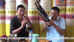唢呐高手精彩演绎河南豫剧《朝阳沟》上山片段，真人韵味十足，戏曲爱好者速来聆听