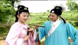 黄梅戏《千里结同心》韩再芬汪静演唱，经典戏曲资源在线下载下载