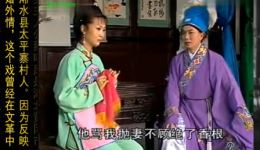黄梅戏《小辞店》精彩片段，花开花放演绎动人情感，不容错过！