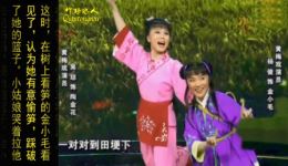 黄梅戏《打猪草》吴琼杨俊经典演绎，传统戏曲资源下载，高清正版全剧在线观看下载
