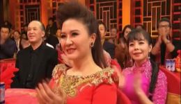我的老爸是特工