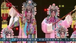打金枝·打宫