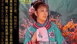 韩再芬庐剧经典《小辞店》片段下载，感受细腻情感与市井百态下载