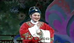 孔雀东南飞·洞房