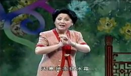 越剧名家胡佩娣《情探》《孔雀东南飞》选段在线下载，优美唱腔演绎经典下载