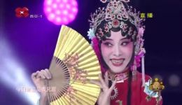 相府梦
