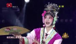 免费蒲剧《火焰驹·表画》下载，杜丽娜精彩演绎，惊险剧情不容错过下载
