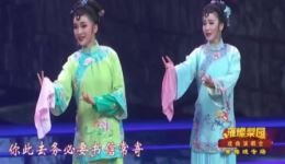 黄梅戏《小辞店》片段在线下载经典传统剧目，高清资源速取