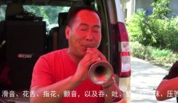 百鸟朝凤