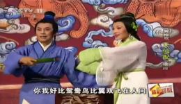 韩再芬黄新德黄梅戏《天仙配》联唱选段下载，精彩好看下载