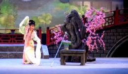 红楼梦·葬花