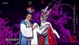 梅花魂·重台别